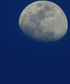 Nikon COOLPIX L840 Digital Camera with 38x Optical Zoom and Built-In Wi-Fi (Red) Red Base 48 61FiXRbxjaL