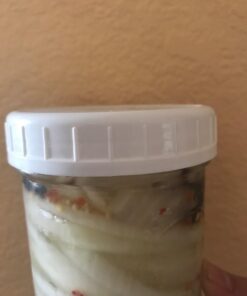 Cornucopia Wide Mouth Plastic Mason Jar Lids (24-Pack Bundle); 2 Dozen Unlined White Ribbed Lids, 86-450 Size 24 Lid Basic Set w/ Lids Only 28 61Fl1mxrxL