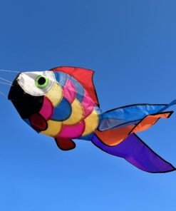 emma kites Cute Rainbow Fish Windsock Spinner Spiral 32-inch 23 61FpETbX5nL