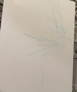 Honeysticks 100% Pure Beeswax Crayons (12 Pack) - Non-Toxic Crayons, Safe for Babies and Toddlers, For 1 Year Plus, Handmade in New Zealand with Natural Beeswax and Food-Grade Colors, Eco-Friendly. 36 61Fw4qLFVQL