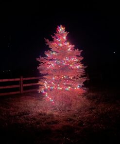 Kasa Outdoor Smart Plug, Smart Home Wi-Fi Outlet Timer, Max Load 15A/1875W, IP64 Weather Resistance, Compatible with Alexa, Google Home & SmartThings, No Hub Required, ETL Certified(KP401) 1-Socket New Version 25 61FyuBMu2yL