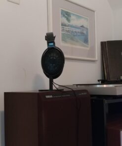 Sennheiser Consumer Audio HD 600 - Audiophile Hi-Res Open Back Dynamic Headphone, Black 42 61FzfDm7YL