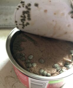 Purina Friskies Pate - (2 Packs of 12) 5.5 oz. Cans 5.50 Ounce (Pack of 24) Pate Variety Pack 37 61G17wNbpSL