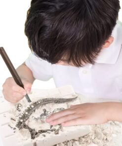 Dig & Discover Dino Stegosaurus Dinosaur Skeleton 3D Fossil Bones Excavation, Science Educational Toy Kit for Kids, Children 12 61G9TV3FpuL