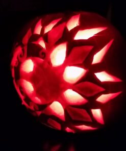 Sculpt Pro Pottery Tool Starter Kit - 15-Piece 26-Tool Beginner's Clay Ceramics Modeling Carving Sculpting Set -Arts and Crafts School Project, w Carrying Case, Birthday Gift for Kids 1 42 61GCZWO8U8L