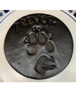 Alumilite Amazing Casting Resin, 16-Ounce(8 Ounce each) 1 White 31 61GE9YaFIUL