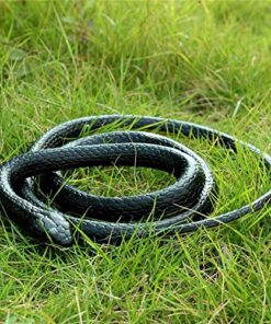 Yoogeer 47 Inches Rubber Lifelike Snakes Scary Gag Gift Incredible Creatures Chain Snakes Rain Forest Snake Toys Wild Life Snakes 10 61GFQGaBgL