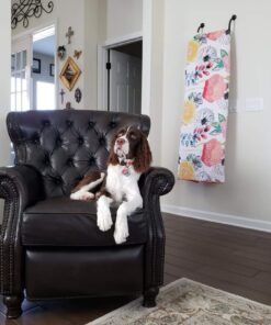 Highwave AutoDogMug Dog Water Bottle BPA-Free Portable Dog Water Bottle | Leak-Proof Portable Dog Water Bottle for Hiking and Traveling | Dish-Washer Safe, 20 oz Blue 28 61GRq7qeJEL