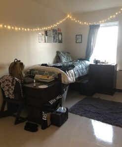 12APM Dimmable Starry Fairy Copper String Lights, 66 ft 200 LEDs with USB Plug in Powered for Bedroom Indoor Wedding Party Halloween Thanksgiving Christmas Ambiance Lighting, IP 65 Waterproof Copper wire-Warm white-200 LEDs 30 61Gb DOh0kL