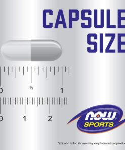 NOW Sports Nutrition, Branched Chain Amino Acids, With Leucine, Isoleucine and Valine, 240 Veg Capsules 240 Count (Pack of 1) 10 61GcBYG2EYL 1