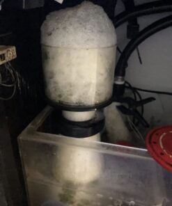 Chemi-Clean - 2 g 2g 50 61GdUWvJ0PL