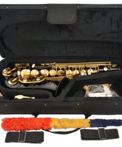 Lazarro Professional Black-Gold Keys Eb E Flat Alto Saxophone Sax, 11 Reeds, Case & Many Extras - 24 COLORS Available - 360-BK BLACK/GOLD Keys 19 61Gl0Ijw9L