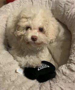 Haute Diggity Dog Fashion Hound Designer Handbags & Bones Collection – Soft Plush Designer Dog Toys with Squeaker and Fun, Parody Designs from Safe, Machine-Washable Materials for All Breeds & Sizes Small Pawda Bag 17 61GtUrVz2L