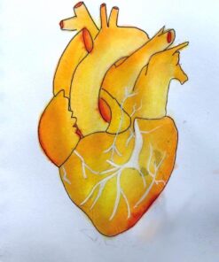 Winsor & Newton Collection Drawing Ink Set, Set of 8, Henry Collection Henry Collection Pack 34 61GwayV76YL