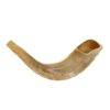 KOSHER ODORLESS POLISHED SHOFAR | Genuine Natural Rams Horn | Smooth Mouthpiece for Easy Blowing | Includes Velvet like Drawstring Bag and Shofar Blowing Guide (10”-12”) 10"-12"