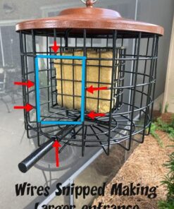 More Birds Squirrel-X Double Suet Feeder, Outdoor Wild Bird Feeder, Cage Bird Feeder, 2 Suet Cake Capacity 24 61H3XiBU2OL