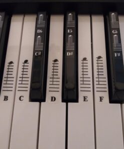 Piano and Keyboard Music Note Full Set Stickers for White and Black Keys; Transparent and Removable; Made in USA 40 61HGodLmDXL