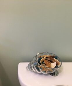 Hosley Glass Shell Vase 8 Inches Long Ideal Gift for Weddings Spa Aromatherapy Flower Arrangements Bowl for Orbs DIY Craft Projects LED Votive Candle Gardens O9 29 61HMEsN3DiL