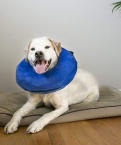 KONG - Cloud Collar - Plush, Inflatable E-Collar - For Injuries, Rashes and Post Surgery Recovery - For Medium Dogs/Cats Standard Packaging 22 61HSP9rk2iL