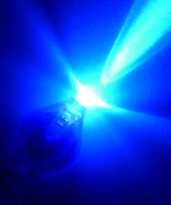 Neutral 5 Color Pack Glow in The Dark Pigment Powder - 12g Each, 60g Total Neutral 27 61HTQwG34dL