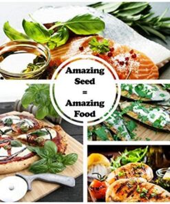 Culinary Herb Seeds Variety Pack - Outdoor & Indoor Herb Garden Kit - 10 Non-GMO Herb Garden Seeds for Planting & Book - Basil Seeds, Dill Seeds, Rosemary Seeds, Thyme Seeds, & More 26 61HXAfC6j9L