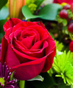 Nikon D3200 24.2 MP CMOS Digital SLR with 18-55mm f/3.5-5.6 Auto Focus-S DX VR NIKKOR Zoom Lens (Black) (OLD MODEL) Black w/ 18-55mm Base 53 61HXjtDJRL