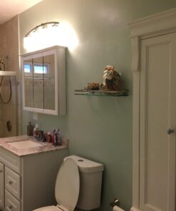 Hosley Glass Shell Vase 8 Inches Long Ideal Gift for Weddings Spa Aromatherapy Flower Arrangements Bowl for Orbs DIY Craft Projects LED Votive Candle Gardens O9 30 61HY789cMmL