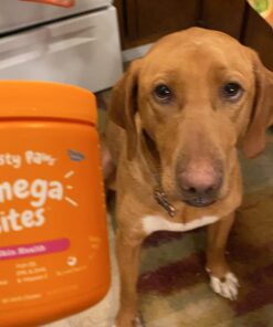 Zesty Paws Omega 3 Alaskan Fish Oil Chew Treats for Dogs - with AlaskOmega for EPA & DHA Fatty Acids - Hip & Joint Support + Skin & Coat Chicken Flavor (90 Soft Chews) 90 Count (Pack of 1) 55 61HiEaFTt8L 2