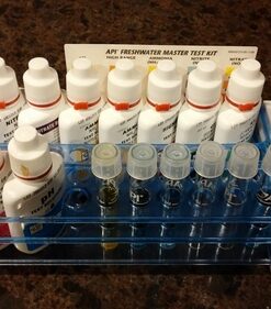 Karter Scientific 208V2 Plastic Test Tube Rack for 12/13mm Tubes, Holds 50, Detachable (Single) Single 27 61HnmOgN tL