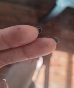 SneakPeek® DNA Test Gender Prediction - Know Baby’s Gender at 6 Weeks with 99.9% Accuracy¹ - Lab Fees Included - Early Boy or Girl Reveal Home Kit (Lancet) 29 61HsrbU2VVL