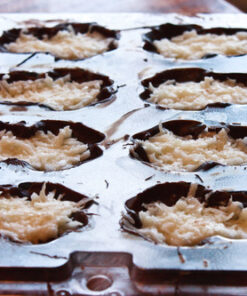 Cybrtrayd Life of the Party Frog Chocolate Candy Mold in Sealed Protective Poly Bag Imprinted with Copyrighted Cybrtrayd Molding Instruction 32 61HuVUS5YIL