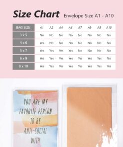 Pack It Chic - 5” X 7” (1000 Pack) Clear Resealable Cello Bags - Fits 5X7 Prints, Photos, A2 A4 A6 Cards & Envelopes - Self Seal 5" X 7" 30 61HwQiKL1kL 1