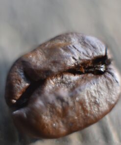 Mcoplus Extnp Auto Focus Macro Extension Tube Set for Nikon AF AF-S DX FX SLR Cameras 58 61I5gev2OL