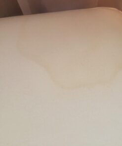 Blue Coral DC22 Upholstery Cleaner Dri-Clean Plus with Odor Eliminator, 22.8 oz. Aerosol 62 61IDWDwgFAL