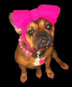 Purina Pro Plan Sensitive Skin and Stomach Dog Food Salmon and Rice Formula - 30 lb. Bag Salmon & Rice 30.00 Pound (Pack of 1) 27 61IO31RoxHL