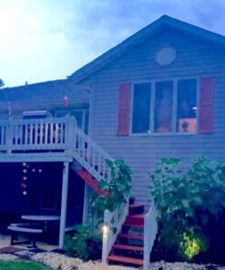 Alternative view of Velvet Queen Sunflower 50+ Seeds