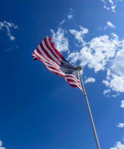 Annin Flagmakers American Flag All-Weather Nylon SolarGuard Nyl-Glo, 4 x 6 Feet (Model 2220) 4x6 ft 26 61If7nUX09L