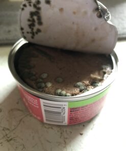 Purina Friskies Pate - (2 Packs of 12) 5.5 oz. Cans 5.50 Ounce (Pack of 24) Pate Variety Pack 38 61IgrVNyk6L