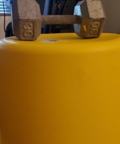 Eagle 20 Gallon Salvage Barrel Drum with Metal Ring Lever-Lock Lid, 21" Height, 21" Diameter, Blow-Molded HDPE, Yellow, 1654 53 61IiT5PkODL