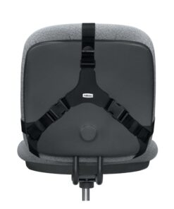 Fellowes Professional Series Back Support, Black (8037601) 18 61Ij0e7pzwL