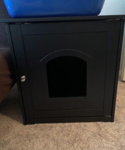 Van Ness Pets Large Open High Sided Cat Litter Box, Blue, CP2HS Pack of 1 40 61IvHEfhBML