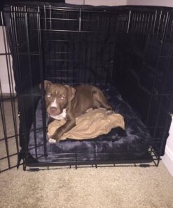 MidWest Homes for Pets Crate Cover, Privacy Dog Crate Cover Fits MidWest Dog Crates, Machine Wash & Dry Black 36-Inch 47 61J5uk6JJ5L 1