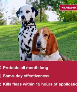 Bayer Animal Health Advantage II Large Dog 4-Pack 10 61J7Ez0WLL