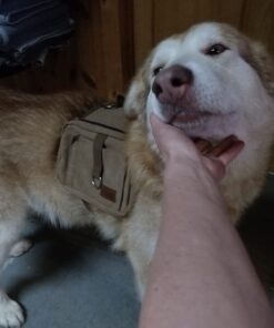 OneTigris Dog Pack Hound Travel Camping Hiking Backpack Saddle Bag Rucksack for Medium & Large Dog (Brown, Large) 11.4"L x 8.7"W x 2.4"H Brown 54 61JGrUW4NuL