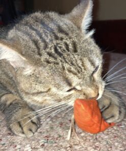 OurPets 100-Percent North American Catnip Filled Carrot Cat Toy 24 Karat OurPets 100-Percent Premium North- American Grown Cosmic Catnip Cat Toy 46 61JKSR8bDcL