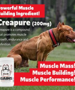 Muscle Bully Gains - Mass Weight Gainer for Dogs, Whey Protein, Flax Seed (for Bull Breeds, Pit Bulls, Bullies) Increase Healthy Natural Weight, Made in The USA (90 Servings) 90 Servings 28 61JQzUtLTSL