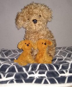 Nat and Jules Mommy Wolf and Pup Wintry Gray Children's Plush Stuffed Animal Toy Set of 2 14 61JTtx5Y69L