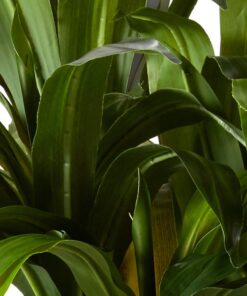 Nearly Natural 6648 4ft. Corn Stalk Dracaena Silk Plant (Real Touch),Green 28 61JcYrVsclL