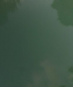 HTH 52008 Super Shock Treatment Swimming Pool Cleaner, Pack of 6 22 61JlwHNWljL