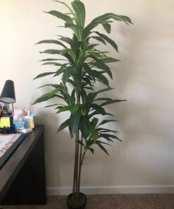 Nearly Natural 6596 6ft. Dracaena Silk Plant (Real Touch),Green 39 61JqsqYtq6L